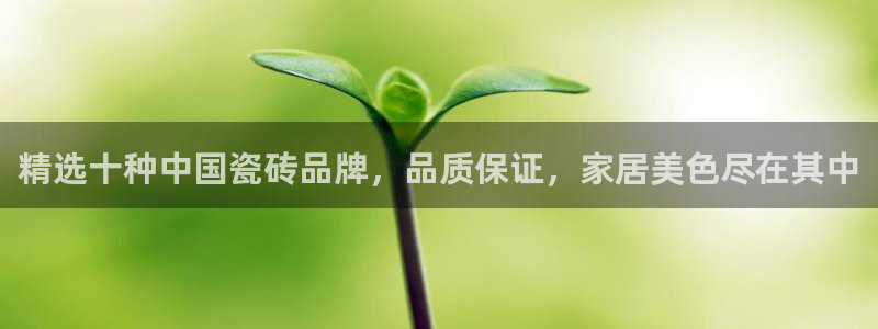 华润2娱乐招商主管