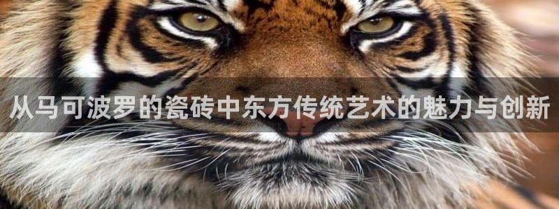 华润娱乐彩票平台app