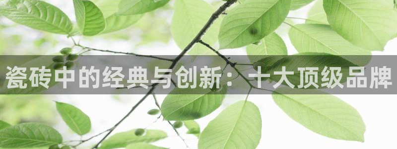 华润娱乐梁判官21