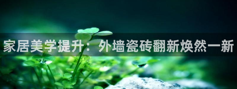 华润娱乐b3指尖