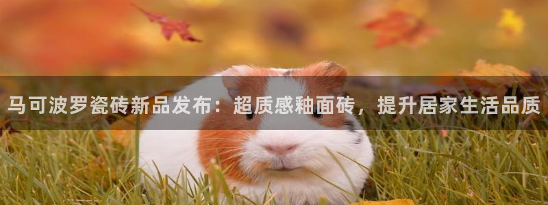 华润二十四城娱乐