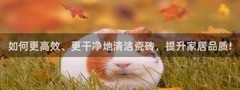 华润娱乐行政招聘