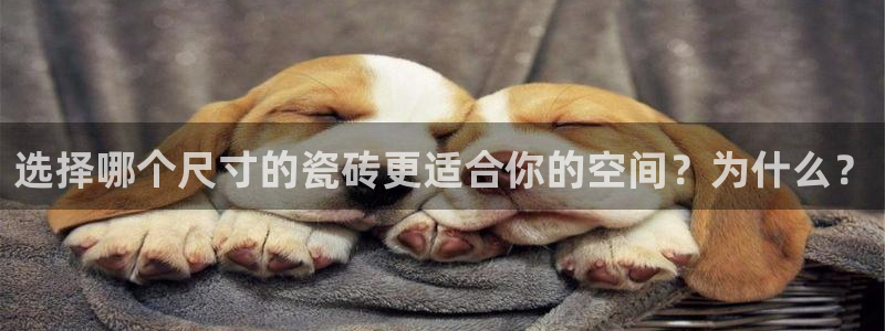 华润娱乐郭判官21