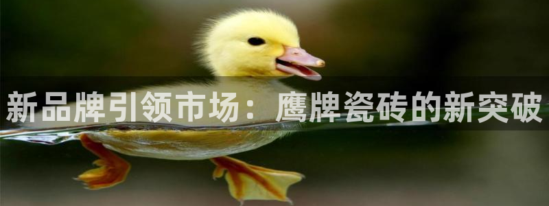 华润娱乐虏122222