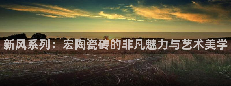 华润娱乐平台招商电话