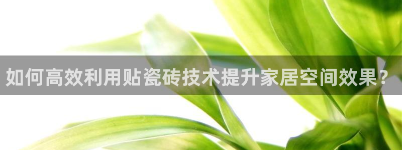 华润娱乐后5指尖