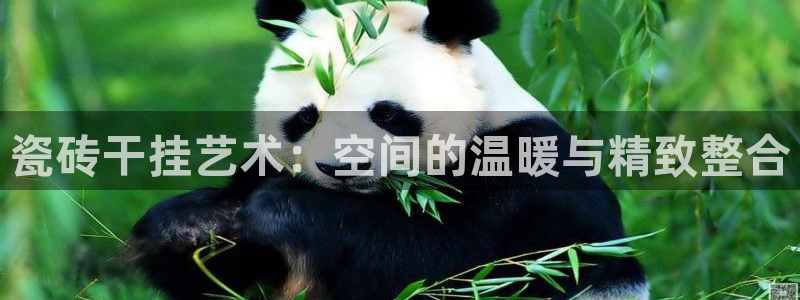 华润国际娱乐