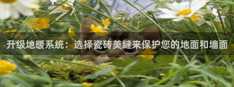 华润娱乐粗122222