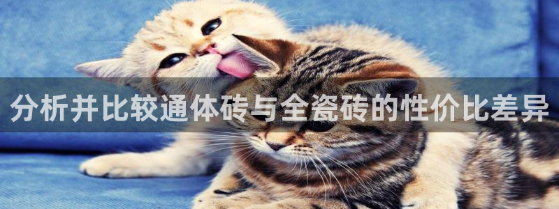 华润-华润娱乐注册招商